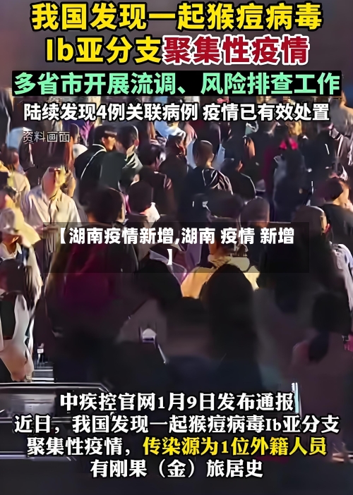 【湖南疫情新增,湖南 疫情 新增】