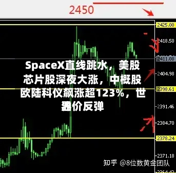 SpaceX直线跳水,美股芯片股深夜大涨,中概股欧陆科仪飙涨超123%,世界
油价反弹