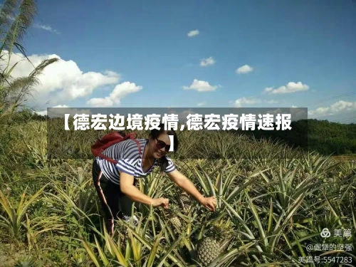 【德宏边境疫情,德宏疫情速报】