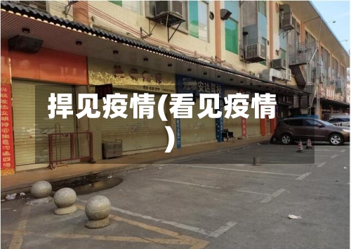捍见疫情(看见疫情)