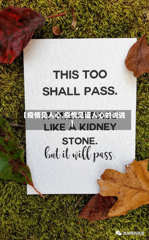 【疫情见人心,疫情见证人心的说说】
