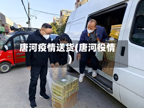 唐河疫情送货(唐河役情)