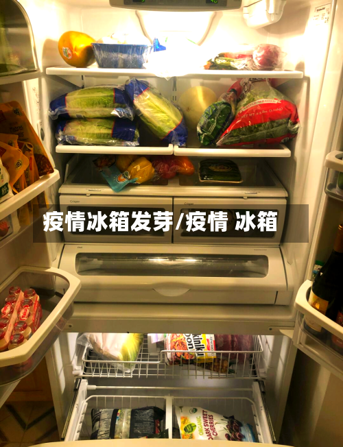 疫情冰箱发芽/疫情 冰箱