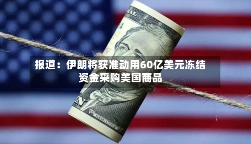 报道：伊朗将获准动用60亿美元冻结资金采购美国商品