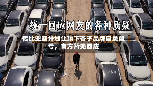 传比亚迪计划让旗下各子品牌自负盈亏,官方暂无回应