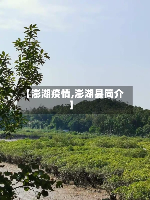 【澎湖疫情,澎湖县简介】