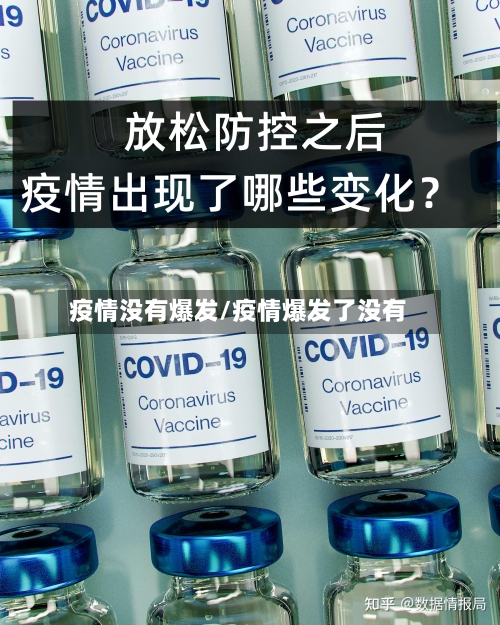 疫情没有爆发/疫情爆发了没有