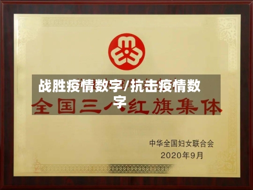 战胜疫情数字/抗击疫情数字