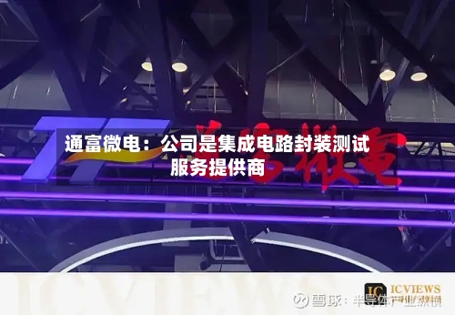 通富微电:公司是集成电路封装测试服务提供商
