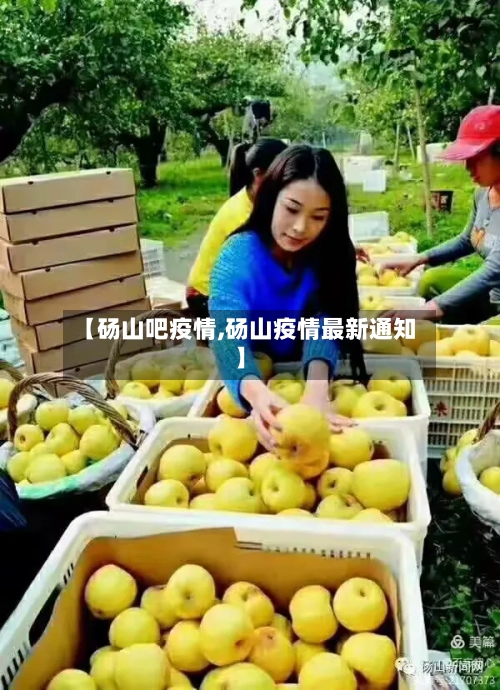 【砀山吧疫情,砀山疫情最新通知】