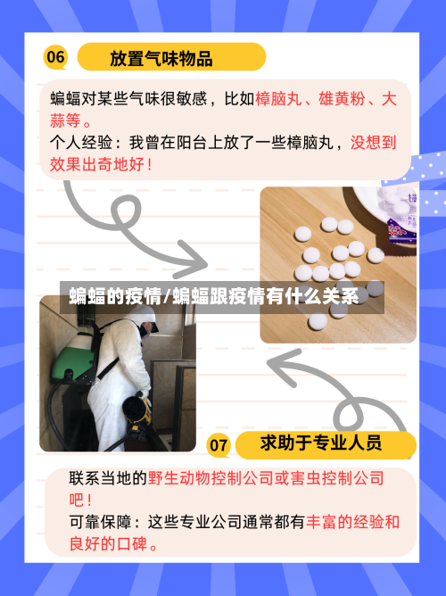 蝙蝠的疫情/蝙蝠跟疫情有什么关系