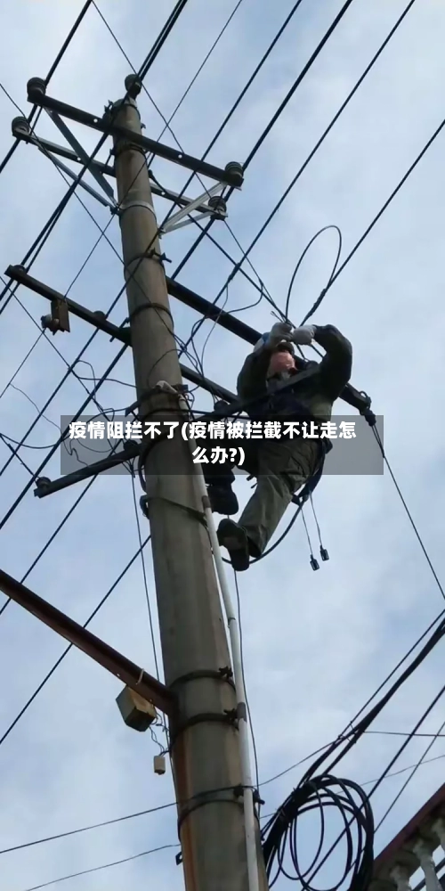 疫情阻拦不了(疫情被拦截不让走怎么办?)