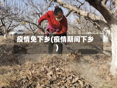 疫情免下乡(疫情期间下乡)