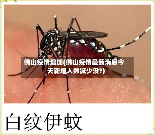 佛山疫情增加(佛山疫情最新消息今天新增人数减少没?)