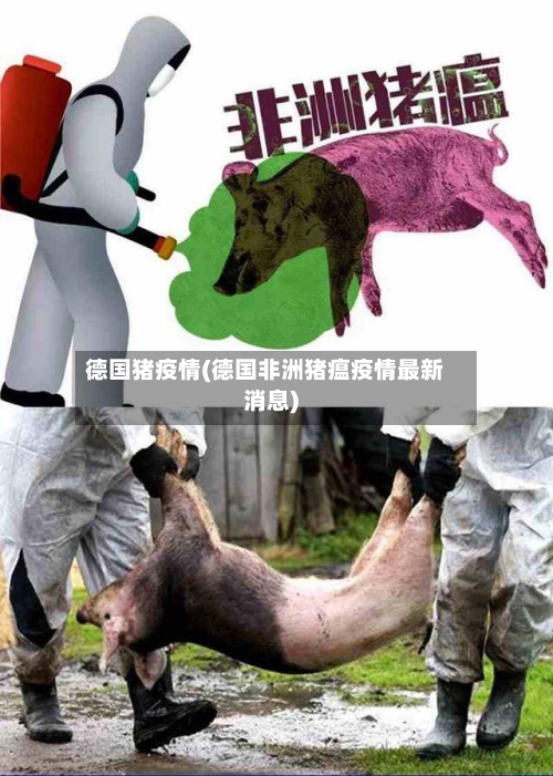 德国猪疫情(德国非洲猪瘟疫情最新消息)