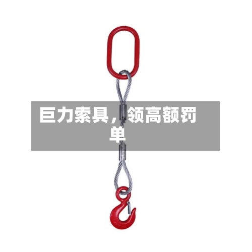 巨力索具，领高额罚单