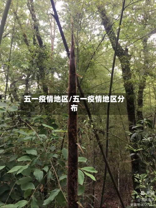 五一疫情地区/五一疫情地区分布