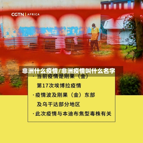非洲什么疫情/非洲疫情叫什么名字