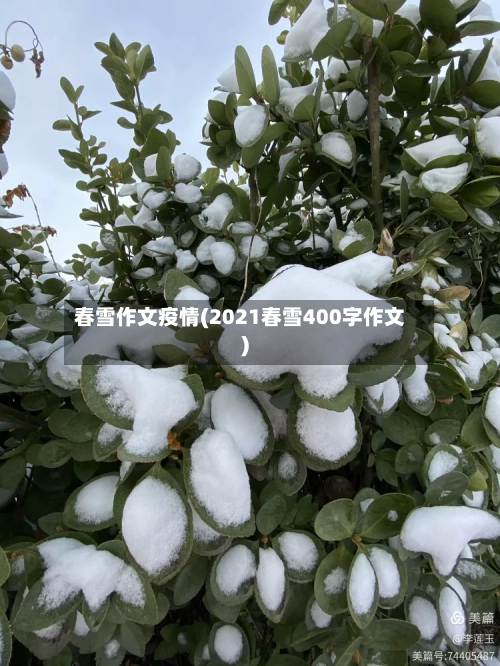 春雪作文疫情(2021春雪400字作文)
