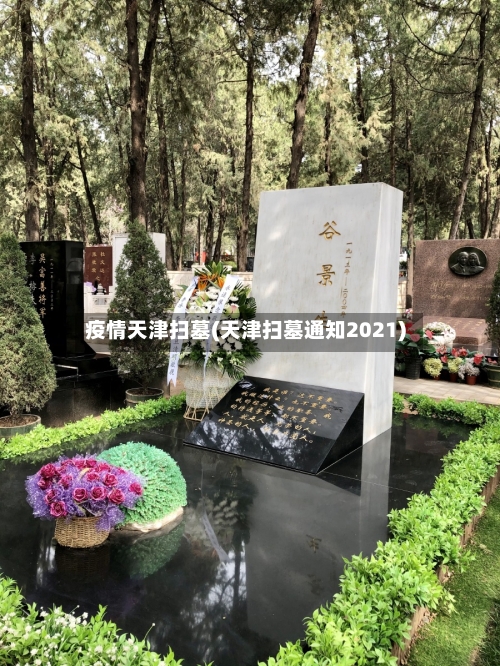 疫情天津扫墓(天津扫墓通知2021)