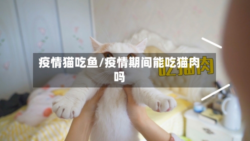 疫情猫吃鱼/疫情期间能吃猫肉吗