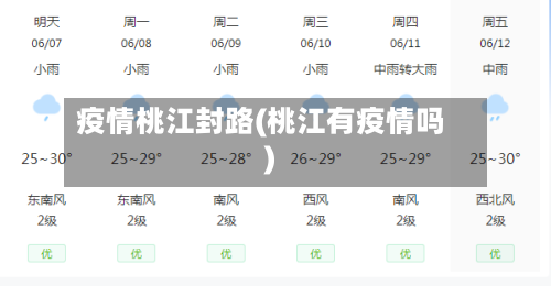 疫情桃江封路(桃江有疫情吗)