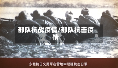 部队抗战疫情/部队抗击疫情