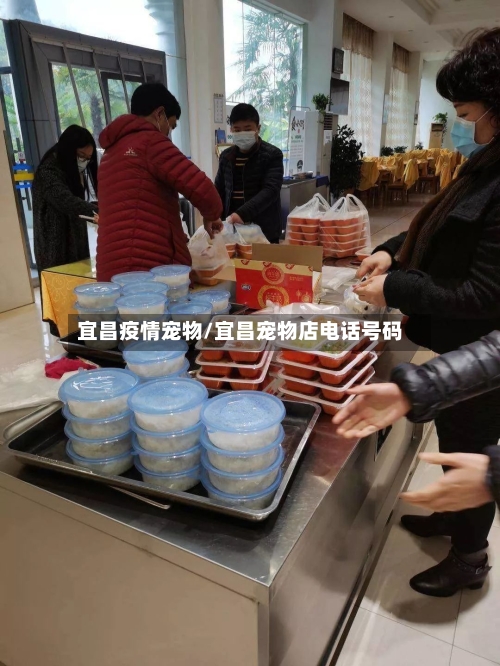 宜昌疫情宠物/宜昌宠物店电话号码