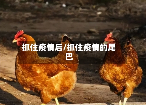 抓住疫情后/抓住疫情的尾巴
