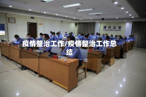 疫情整治工作/疫情整治工作总结