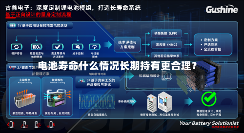 电池寿命什么情况长期持有更合理?