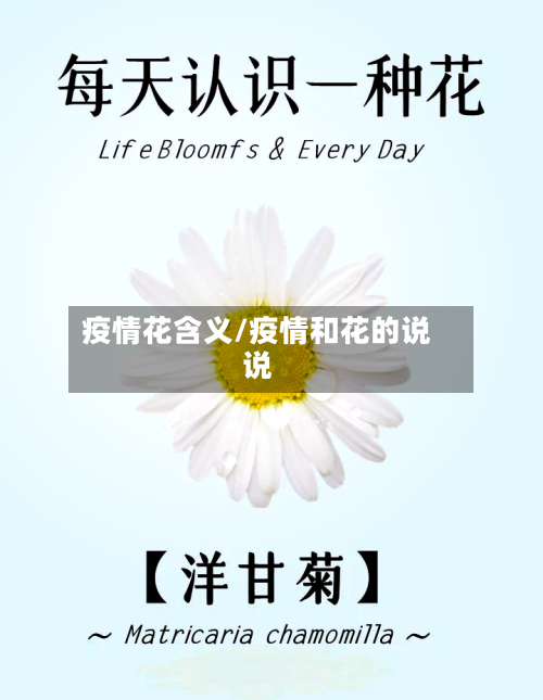 疫情花含义/疫情和花的说说