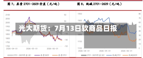 光大期货:7月13日软商品日报