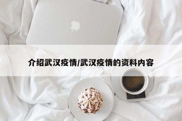 介绍武汉疫情/武汉疫情的资料内容