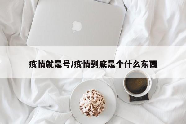 疫情就是号/疫情到底是个什么东西
